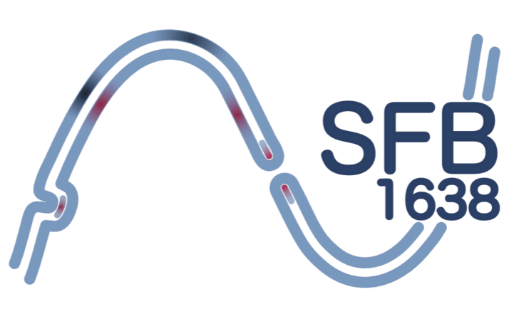 SFB1638 (1st Funding Period)
