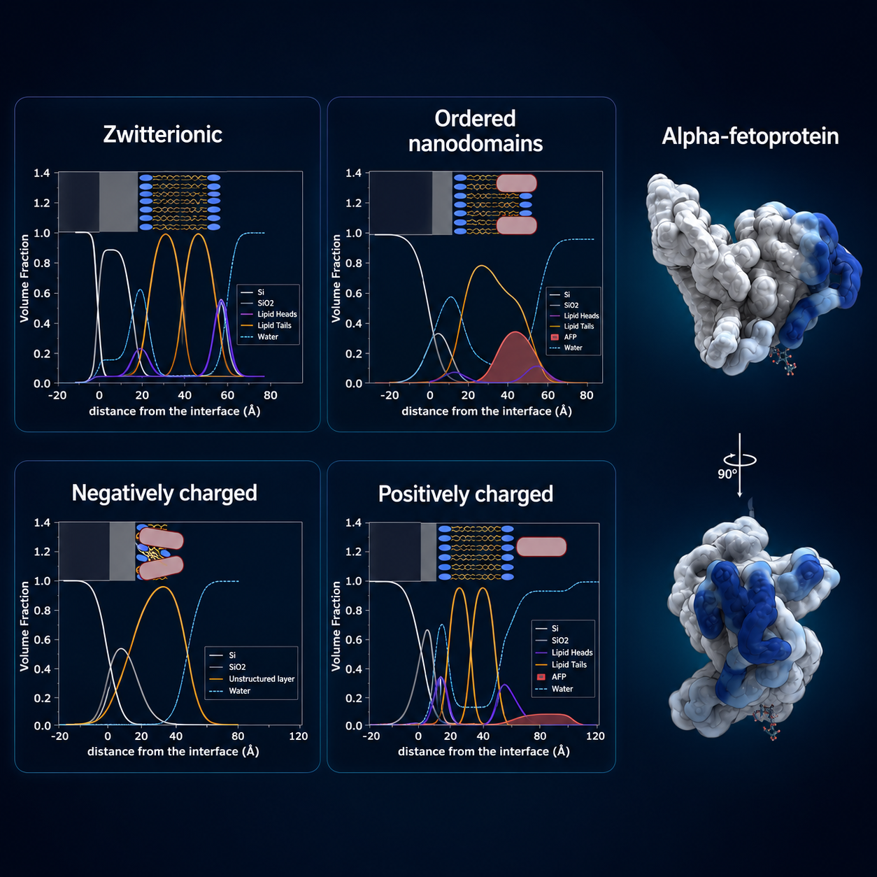 How lipid composition shapes the nanostructural interaction of tumor biomarker alpha-fetoprotein and bovine serum albumin with model membranes