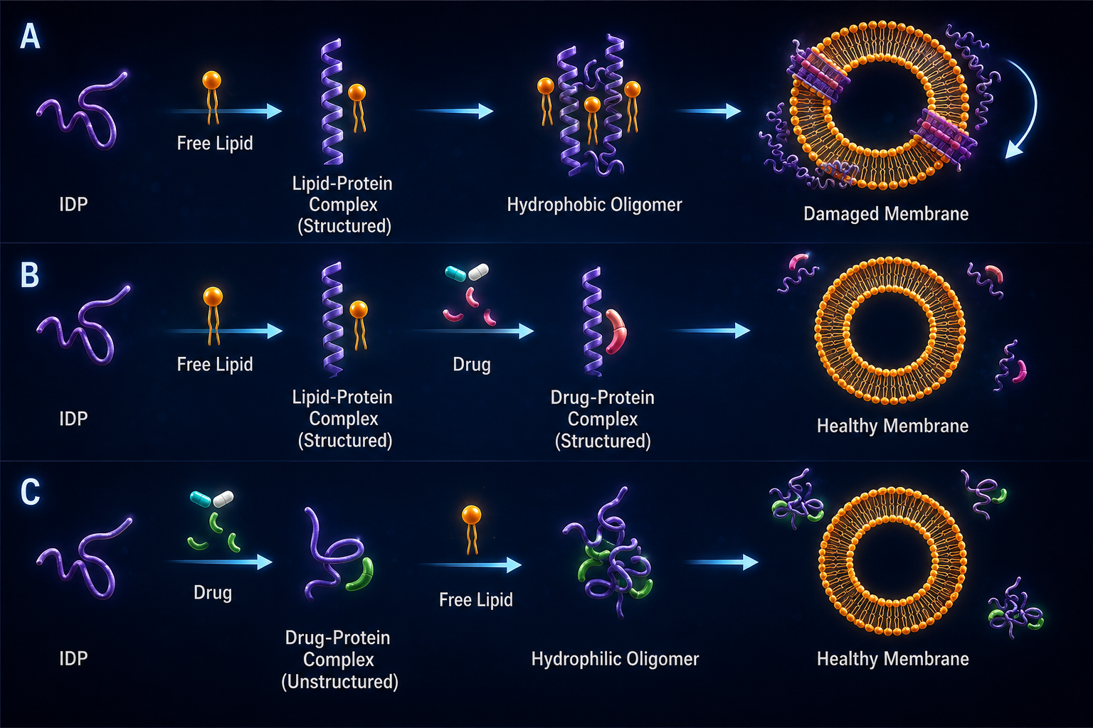 The role of alpha-helix on the structure-targeting drug design of amyloidogenic proteins