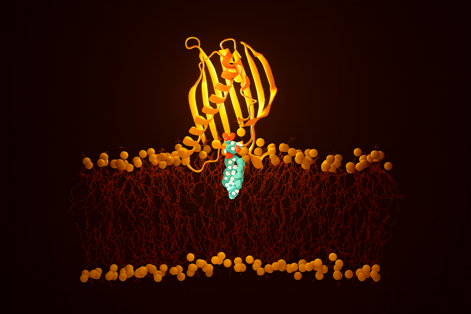 Lipid transport proteins