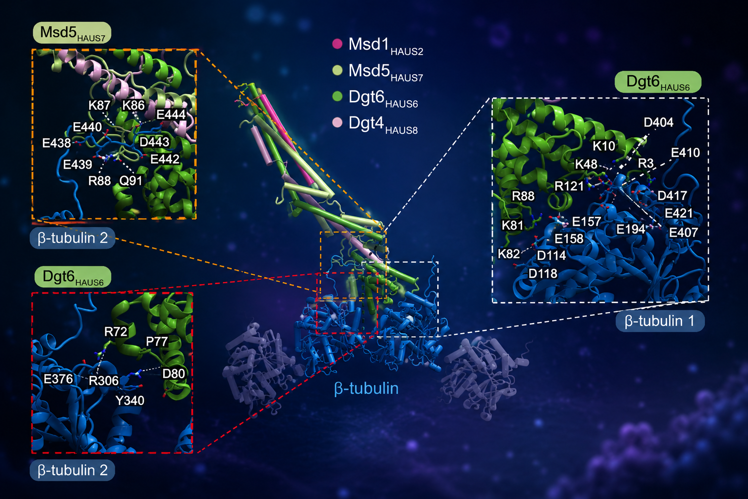Computational structural biology